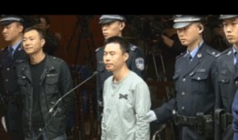 日本在线成人视频,尺度与文化的双重解读